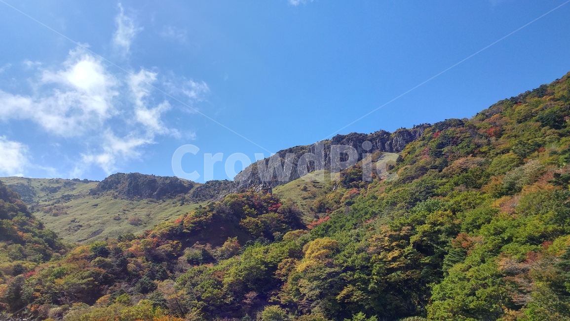 제주,한라산,관음사코스,한라산단풍,단풍,낙엽,자연,풍경,nature,landscape,한국자연풍경,한국자연경관,korea nature landscape,제주도,jeju,jeju island,outdoors,옥외