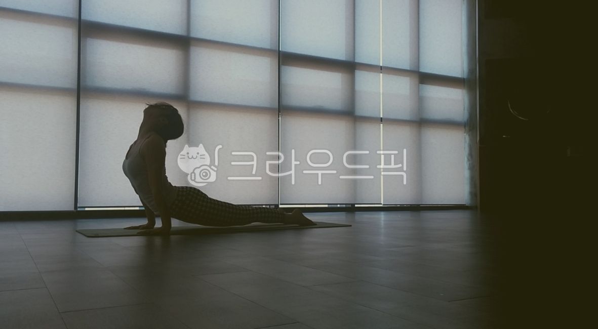 스트레칭,요가동작,코브라자세,호흡,meditation,mindfullness,건강,라이프,life