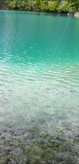 호수,크로아티아,croatia,발칸반도,lake,자연,풍경,nature,landscape