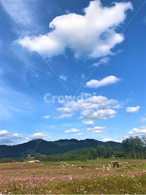 자연,들,산,하늘,풍경,자연,풍경,nature,landscape,outdoors,옥외,grassland,목초지,field