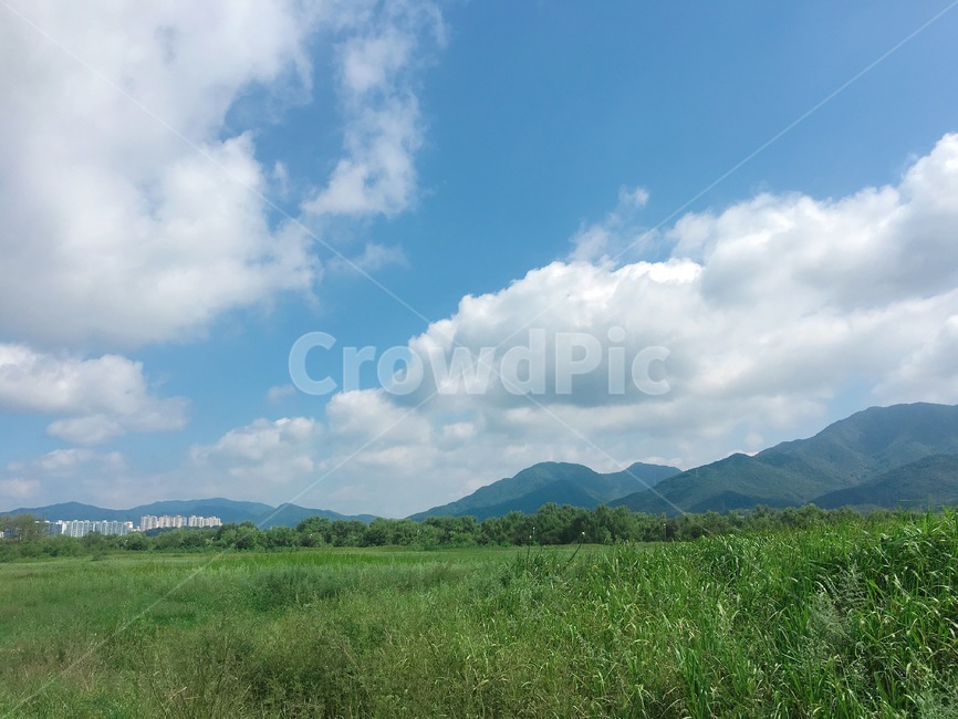 미사리,하늘,구름,자연,여름,자연,풍경,nature,landscape,outdoors,옥외,grassland,목초지,field,들