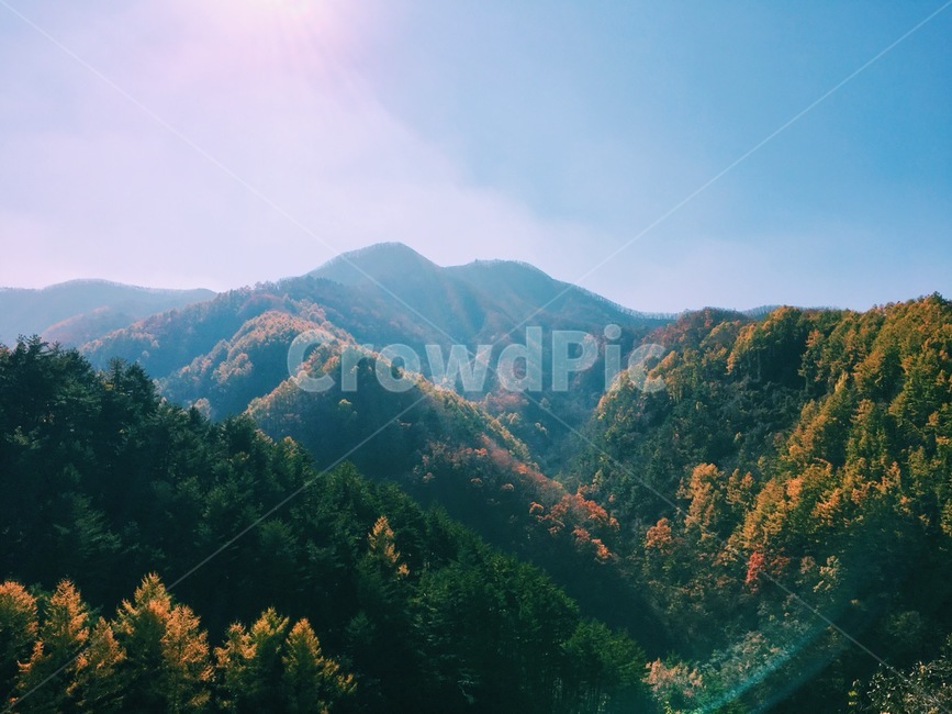자연풍경,숲,나무,자연,풍경,자연,풍경,nature,landscape,outdoors,옥외