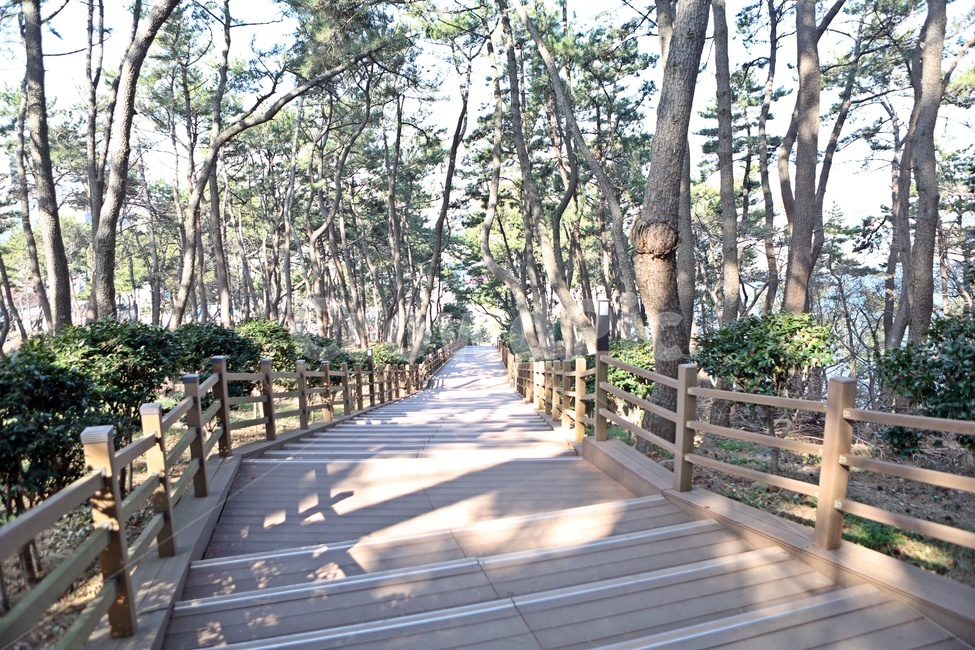 산책,나무,배경,자연,등산,오르막길,계단,자연,풍경,nature,landscape,garden,정원,outdoors,옥외,arbour,정자