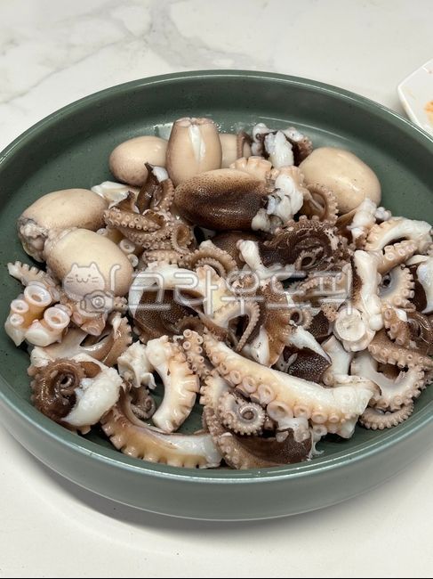 food,주꾸미,쭈꾸미,숙회,octopus,webfootoctopus,seafood,parboiled,음식