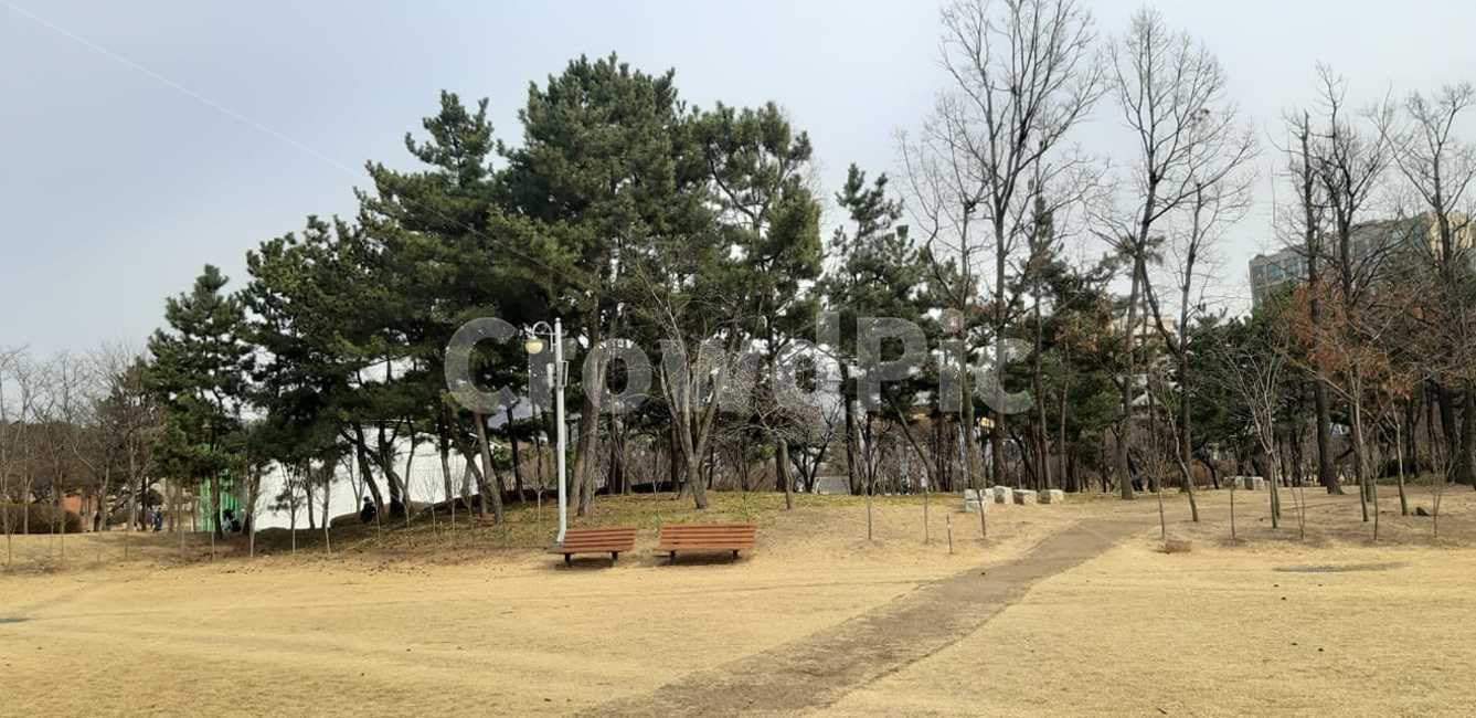 공원,나무,그네의자,소나무,들판,산책,여유,감성