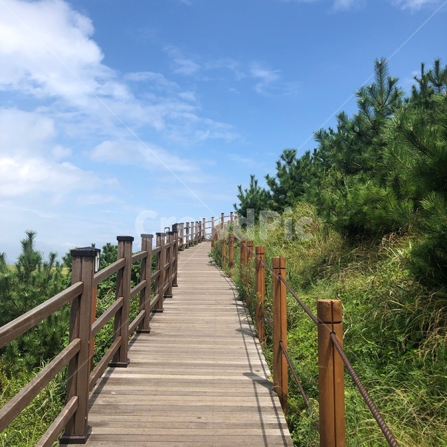 산책로,boardwalk,하늘,여백,길,way,산책