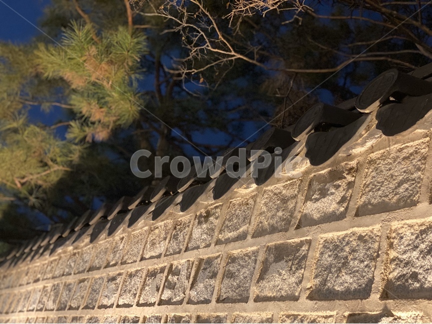 tree,나무,plant,식물,건축물,벽돌,기와,건물,building,architecture,roof,tile,brick,돌담,wall