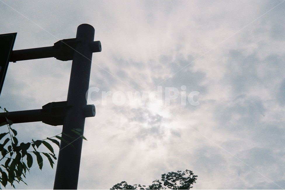 여름,하늘,햇빛,구름,풍경,light,sunlight,summer,sky,나무,빛,cloud,낮,오후,film,필름