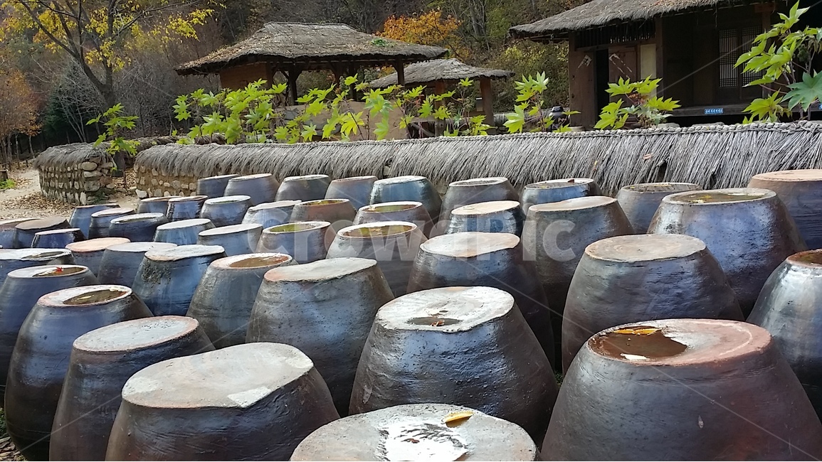 장독,옹기,항아리,담장,초가집,장독대,배경,초가지붕,가을,문경새재,시골,마을,풍경,landscape,country,rural,town,한국전통,한국문화,korean traditional,korean culture