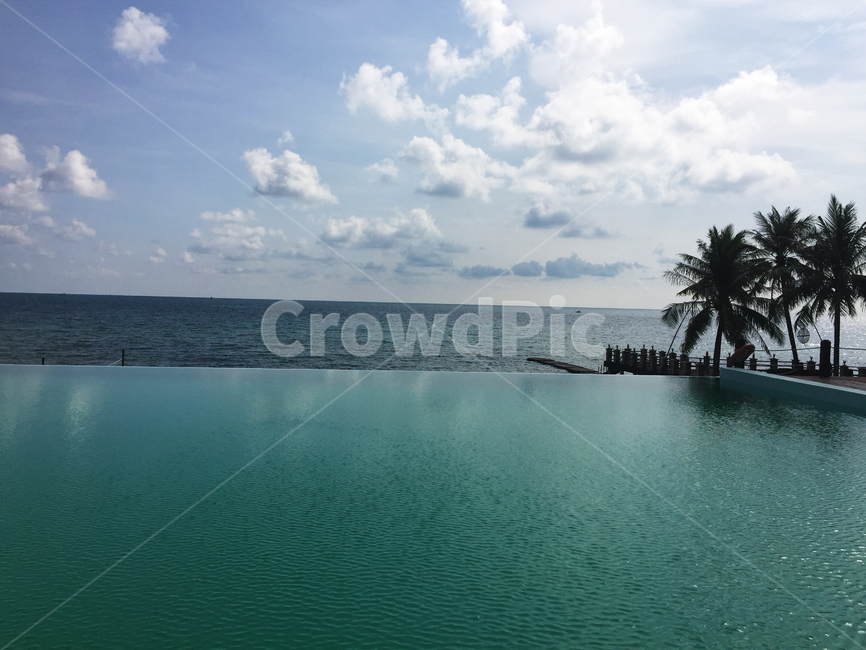 수영장,해변,바다,휴양지,야자수,구름,휴가,여름,계절,summer,season,자연,풍경,nature,landscape,water,물,outdoors,옥외