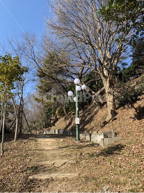 길,산책로,가로등,나무,낙엽,자연,풍경,nature,landscape,tree,plant,식물,ground,바닥,tree trunk,나무 줄기