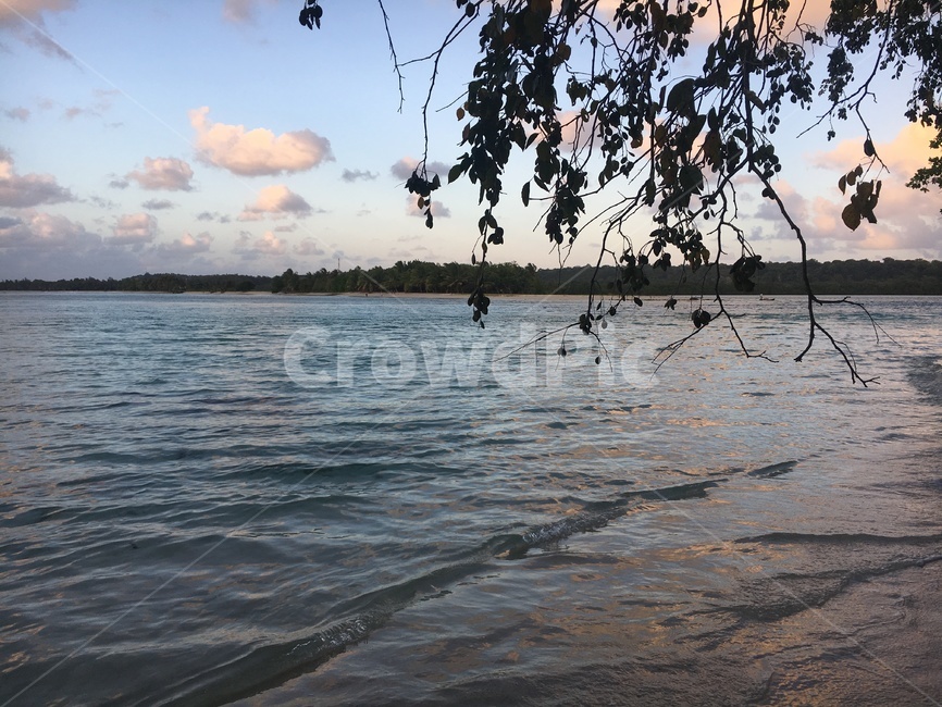 섬,휴양지,나무,구름,하늘,sky,pinksky,water,물,outdoors,옥외,nature,자연,파도,바다,해변,휴가,휴일,힐링,석양,sunset,노을,색체,색감,분위기,배경,감성,자연,풍경,nature,landscape