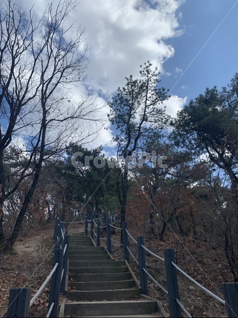 bridge,boardwalk,다리,building,건물,계단오르기,banister,난간,handrail,railing,계단,하늘,구름,계단오르는,등산,산계단,자연,나무,날씨,산,산책로