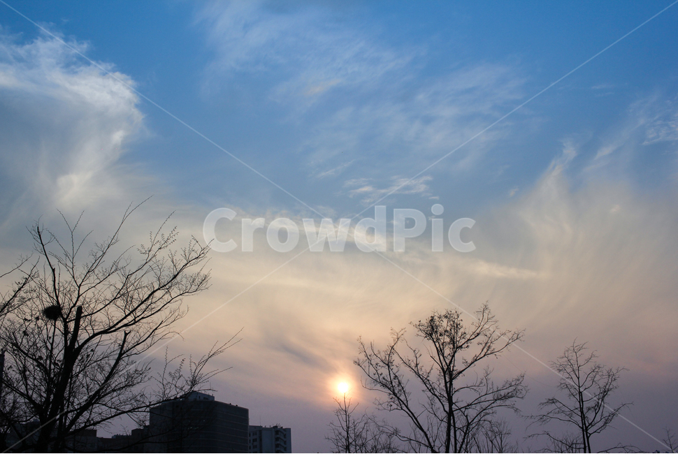 노을,태양,여의도,하늘,나무,구름,배경,도시,풍경,city,landscape,한국도시풍경,한국도시경관,korea cityscape,nature,자연,flare,플레어,light,빛,outdoors,옥외,weather,날씨,sunlight,햇빛