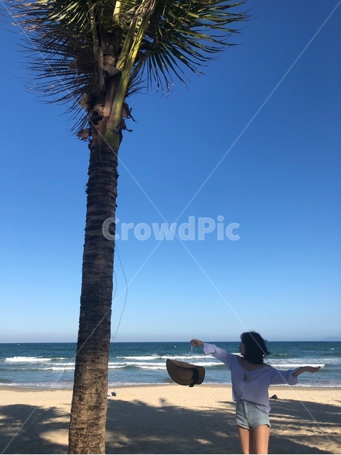tree,plant,식물,palmtree,야자수,arecaceae,human,인간,person,사람,인물,여자,소녀,자유,여행,바다,자연,해변,사람,인물,인간,human,person,여성,여자,woman,female,lady,여행,휴가,traveling,vacation,trip