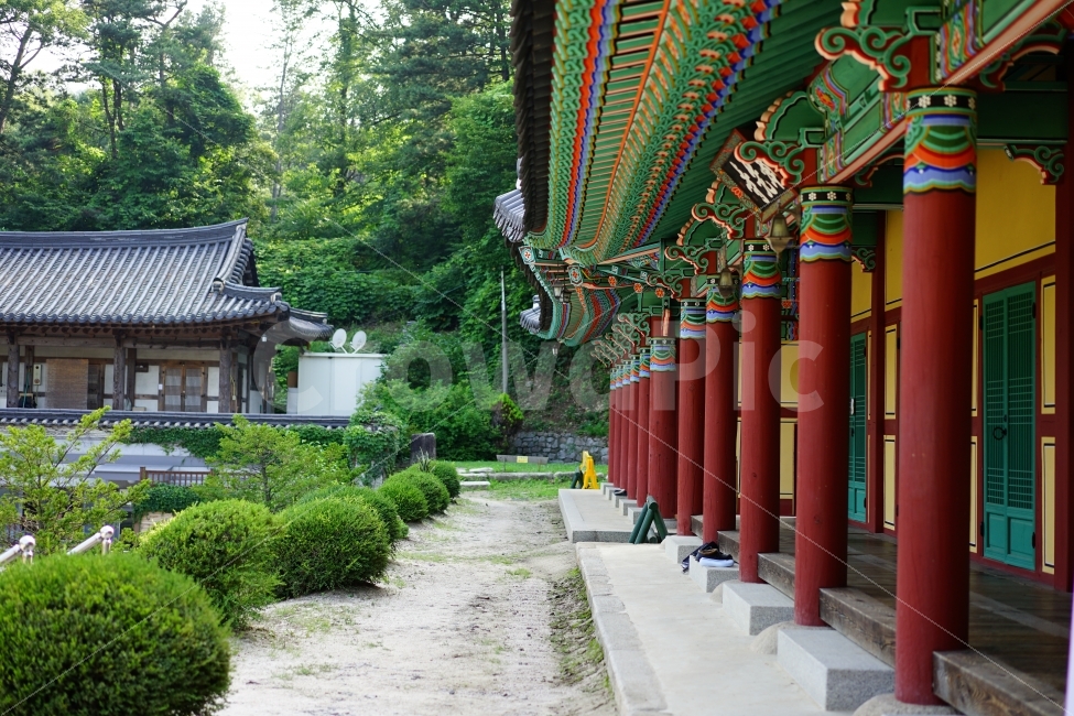 지붕,전통,절,사찰,한국,전통문화,문화,불교,신앙,종,처마,종교,건축,한국전통,한국문화,korean traditional,korean culture,종교,신앙,religion,belief,faith