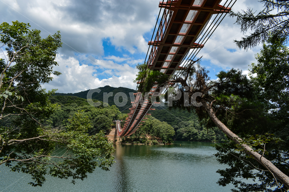 출렁다리,구름다리,호수,관광지,파주,자연,풍경,nature,landscape,한국자연풍경,한국자연경관,korea nature landscape,outdoors,옥외