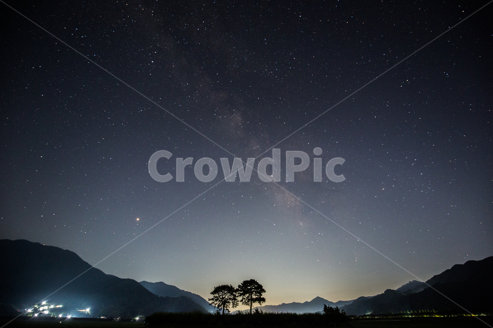 경남,하동,은학수,여름,밤,하늘,부부송,야경,밤,풍경,nightscape,night,landscape,식물,자연,plants,nature,나무,trees,wood,outdoors,옥외