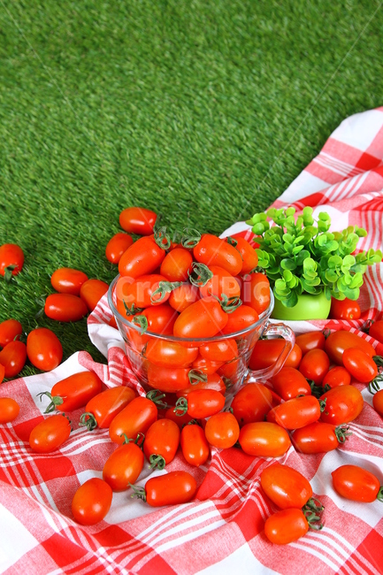 토마토,대추방울토마토,과일,야채,식품,신선,음식,빨간,tomato,jujubetomatoes,fruits,vegetables,fresh,food,red,음식,식재료,요리,food,cook,meal,dishes,food reserves,과일,열매,fruit,채소,야채,vegetables