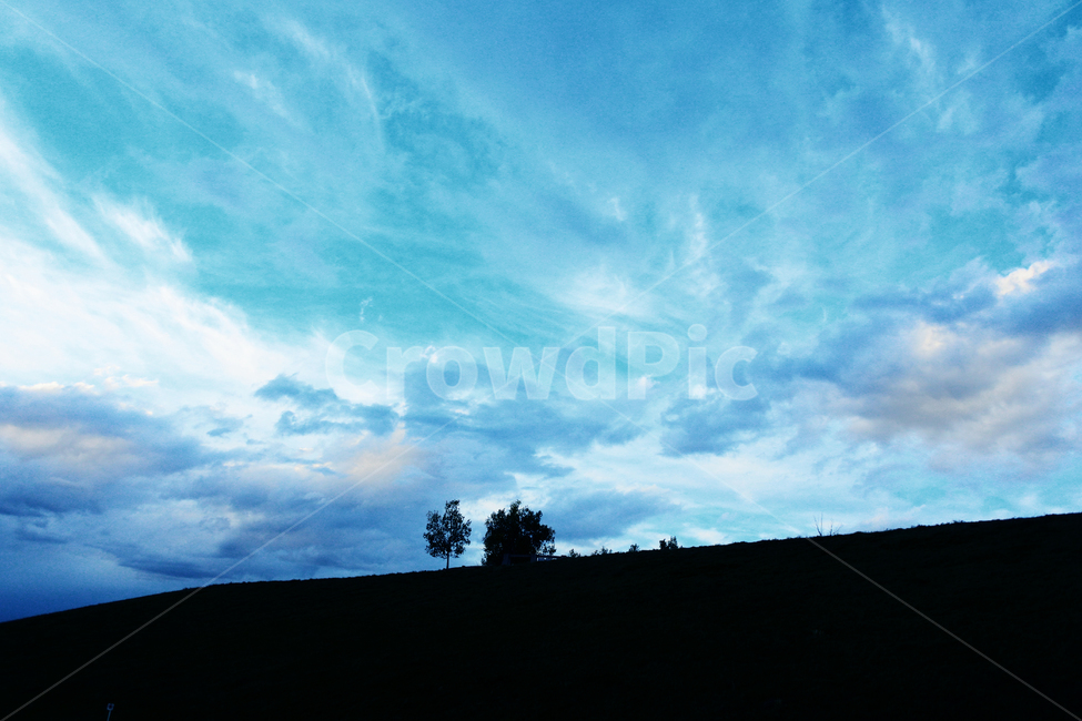 언덕,나무,들판,하늘,그림자,구름,tree,land,cloud,hill