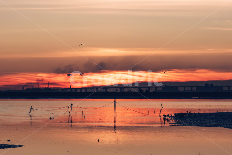 일몰,썬셋,낙조,노을,붉은노을,갈매기,바다,sun,sunet,sundown,자연,풍경,nature,landscape,감성,sensible,feeling,색깔,색상,색채,색감,color sense,color sensitivity,feeling of color,bird,새,animal,동물