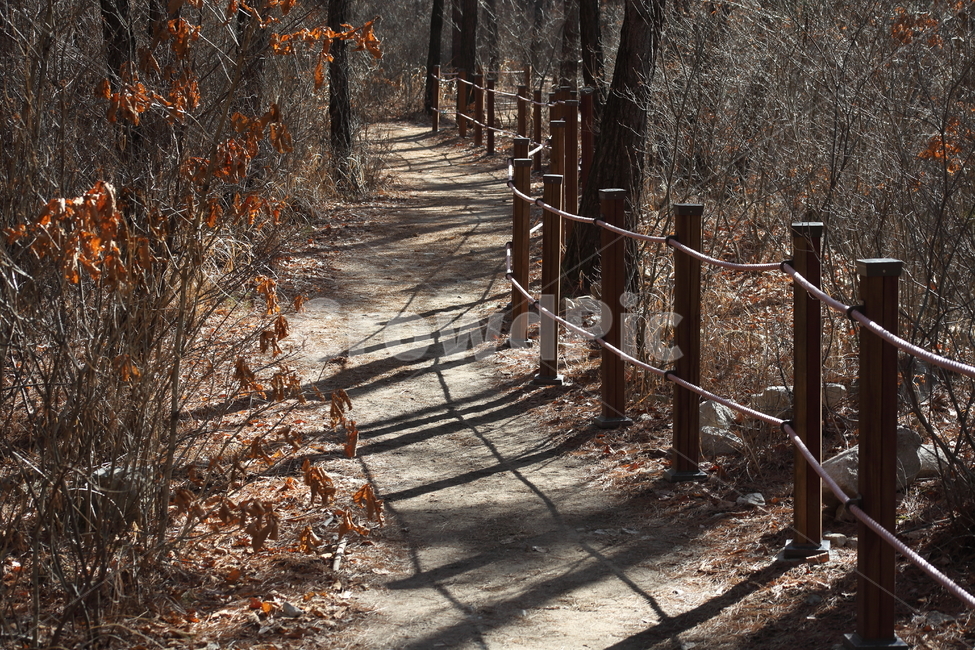 등산로,탐방로,길,mountaintrail,trail,산책로,가을,계절,fall,autumn,season,자연,풍경,nature,landscape