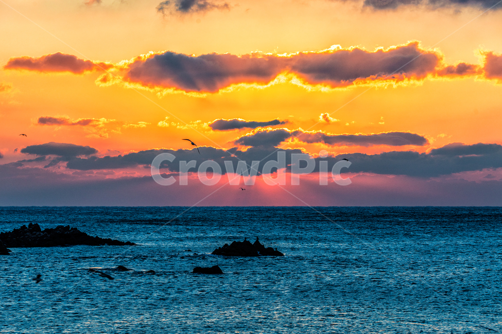 일출,해,바다,문무대왕릉일출,풍경,여명,문무왕릉일출,자연,풍경,nature,landscape,outdoors,옥외