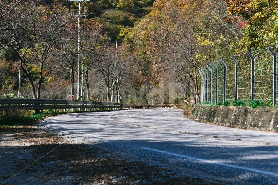 가을,도로,옥정호,드라이브코스,풍경,풍경사진,니콘,가을,계절,fall,autumn,season,자연,풍경,nature,landscape,교통,교통수단,traffic,transportation,asphalt,아스팔트,tree,나무,plant,식물,road