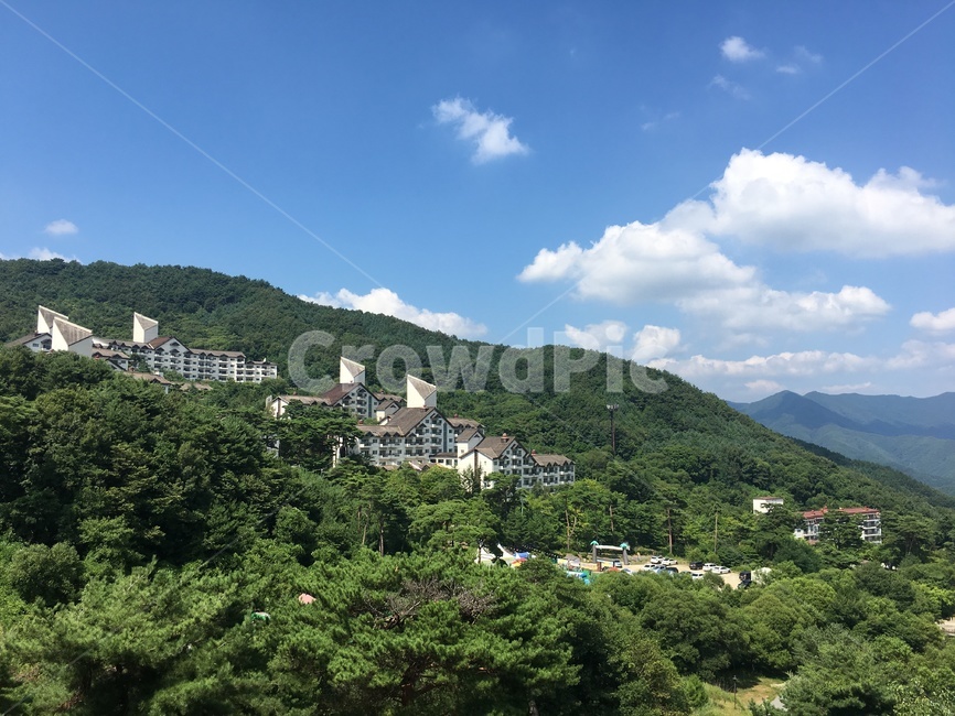 자연,경치,나무,하늘,초록,green,tree,자연,풍경,nature,landscape,outdoors,옥외,hill,언덕