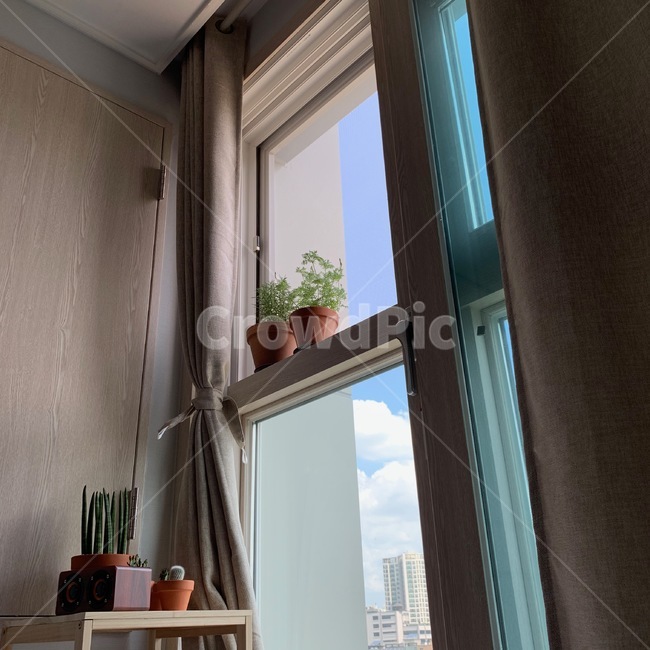 창문,window,식물기르기,화분,가정장식,homedecor