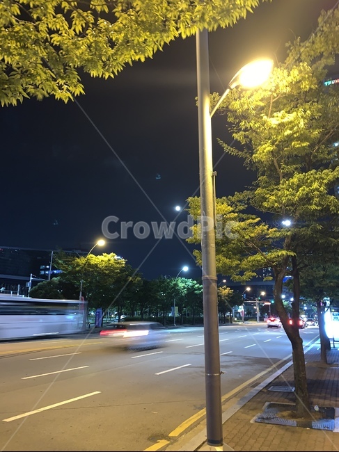 밤,가로등,도로,road,아스팔트