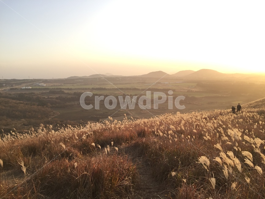 제주도,제주여행,가을제주,가을풍경,억새,갈대,새별오름,오름,제주오름,감성사진,해질녘,일몰,자연,풍경,nature,landscape,제주도,jeju,jeju island,grass,잔디,plant,식물,person,사람,human,인간,flare,플레어,light,빛