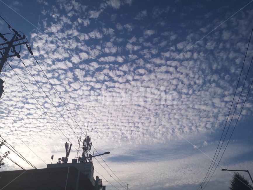 military,군,vehicle,차량,navy,순양함,cruiser,배,ship,해군,transportation,교통,하늘,sky,구름,cloud
