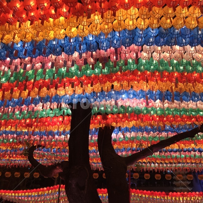 연등,불교행사,불교,절,연등회,부처님