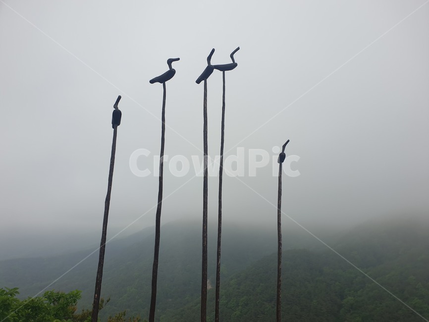 동물,animal,bird,새,모형,안개,힐링,조각상,동상,석상,조형물,statue,bronze statue,stone statue
