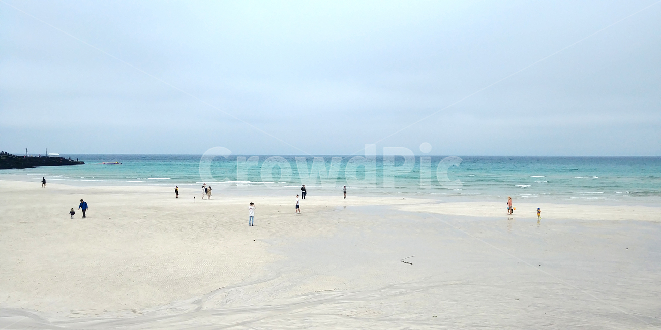 바다,제주도,여름,시원함,해변,모래,해수욕장,summer,beach,ocean,water,물,sand