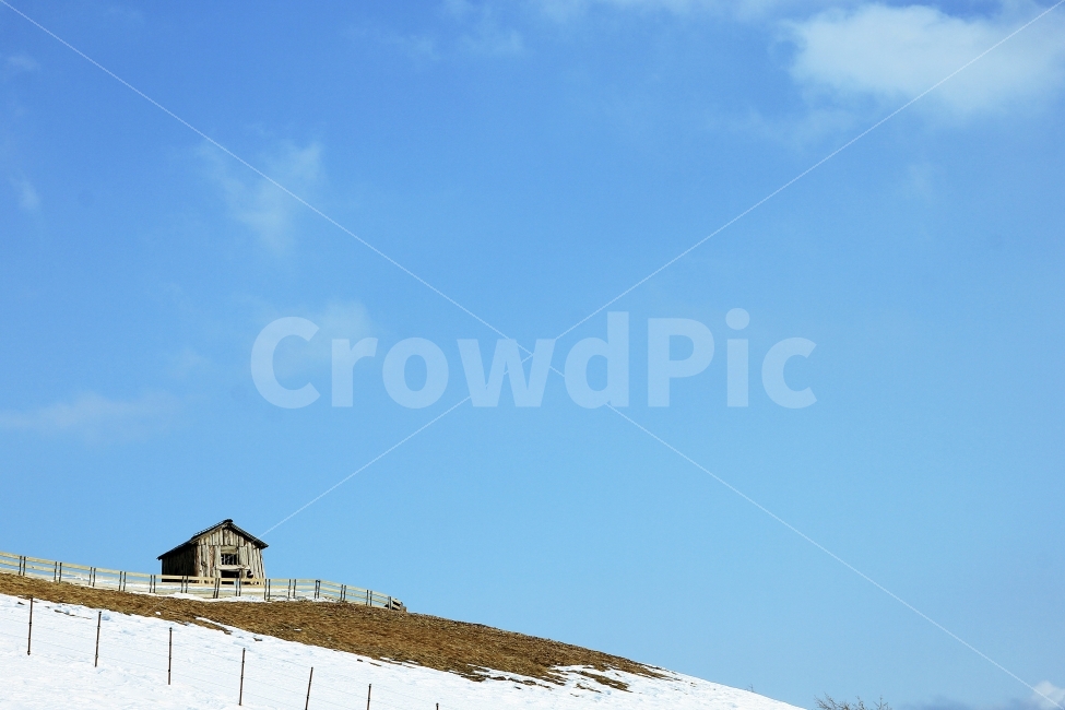 하늘,언덕,양떼목장,풍경,자연,겨울,계절,winter,season,자연,풍경,nature,landscape,한국자연풍경,한국자연경관,korea nature landscape,outdoors,옥외,building,건물