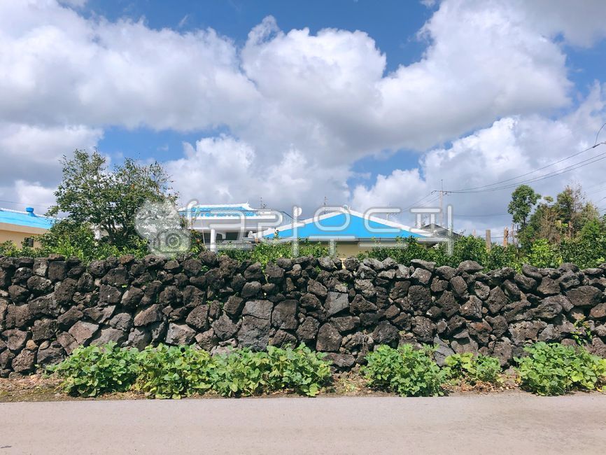 제주도,돌담,파란지붕,시골길,하늘,stonewall,jeju
