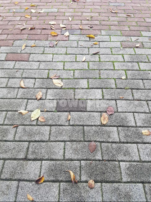 가을,벽돌,빨간벽돌,autumn,brick,leaves,낙엽,한적한,힐링,보도블럭,네모