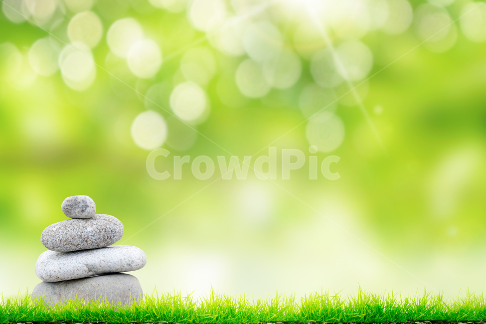 나무배경,봄,나뭇잎,나뭇가지,살랑살랑,따뜻한,햇살,눈부신,카피공간,새로운,상쾌한,희망찬,꾸미기,새롭다,식물,계절,여름,트리,배경,배너,하루,뒷배경,풍경,화창한,아름다운,여유롭다,힐링,휴식