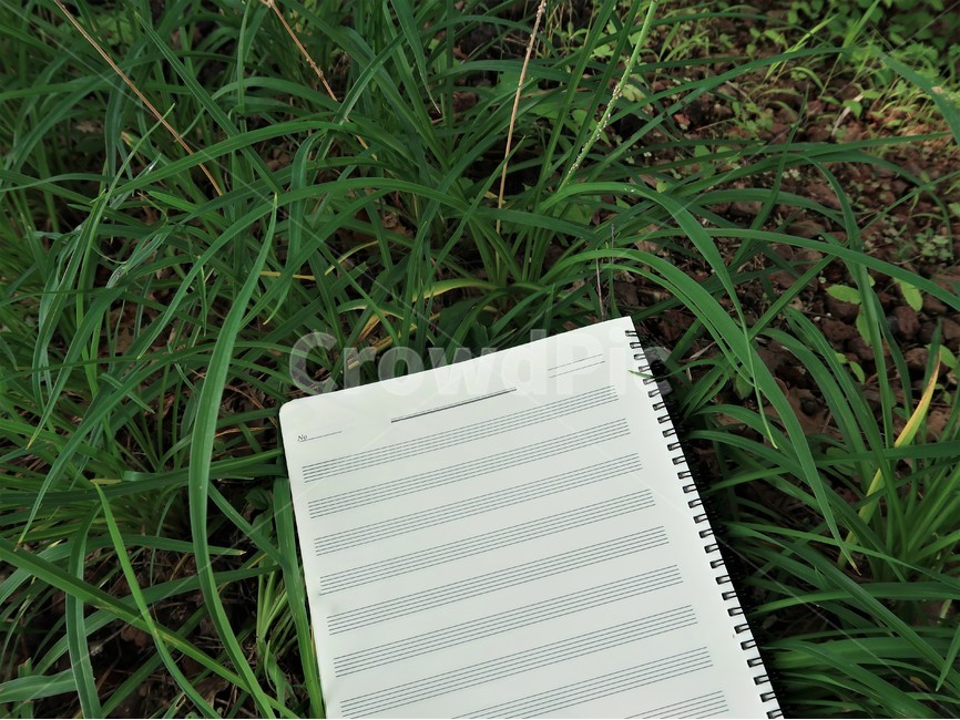 오선지,그늘,musicnote,자연,초록,녹색,풀잎,nature,green,예술,art