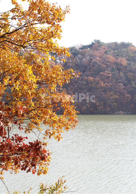 가을,호수,자연,물,하늘,단풍,maple,autumn,lake,nature,water,sky,가을,계절,fall,autumn,season,자연,풍경,nature,landscape,tree,나무,plant,식물