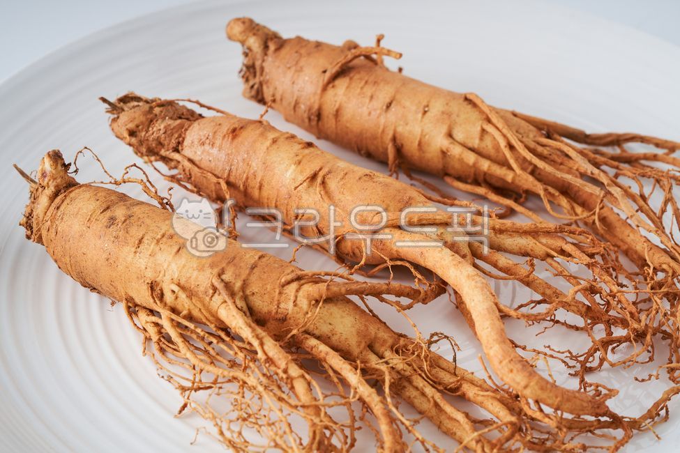 Hanppuri,Ginseng 6 years old,5 year old ginseng root,root,Fresh ginseng,Geumsan Ginseng,Ginseng