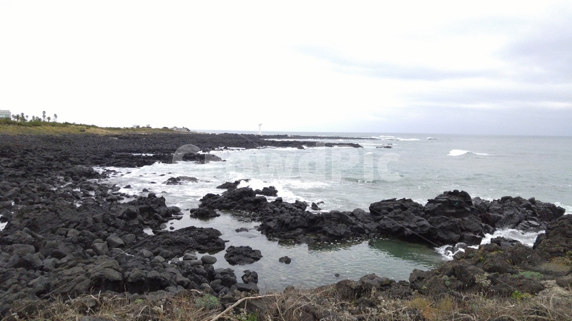 제주도,바다,해안,해변,바닷가,바다가,sea,jeju,land,옥외,땅,파도,water,물,제주도,jeju,jeju island