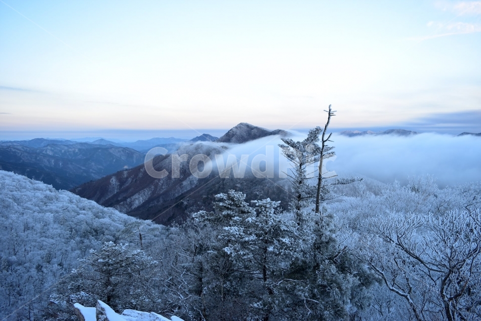 태백산,설경,상고대,눈꽃,풍경,겨울,겨울왕국,서리꽃,눈,천제단,자연,스포츠,등산,산행,nature,snow,설국,겨울풍경,느낌,아름다운,신비로운,경이로운,다큐,필,디자인,힐링,명산,국립공원,순백,landscape,winter,season,운해,영산,겨울,계절,winter,season,자연,풍경,nature,landscape,한국자연풍경,한국자연경관,korea nature landscape,ice,얼음,outdoors,옥외,mountain,산,plant,식물,tree,나무,fir,전나무,abies,아비