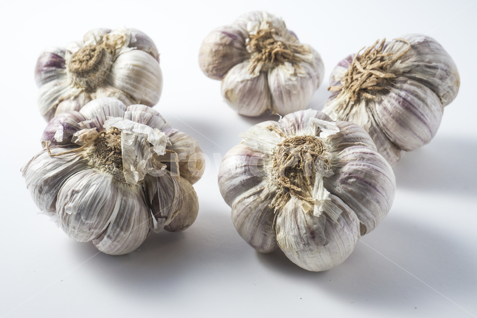 마늘,햇마늘,육쪽마늘,통마늘,갈릭,재료,식자재,야채,채소,매움,알싸함,껍질,알맹이,향료,유기농,농사,건강,채식,채식주의,양념,맛,매운,영양,영양가,식재료,garlic,노화방지,항암,음식,식재료,요리,food,cook,meal,dishes,food reserves,채소,야채,vegetables