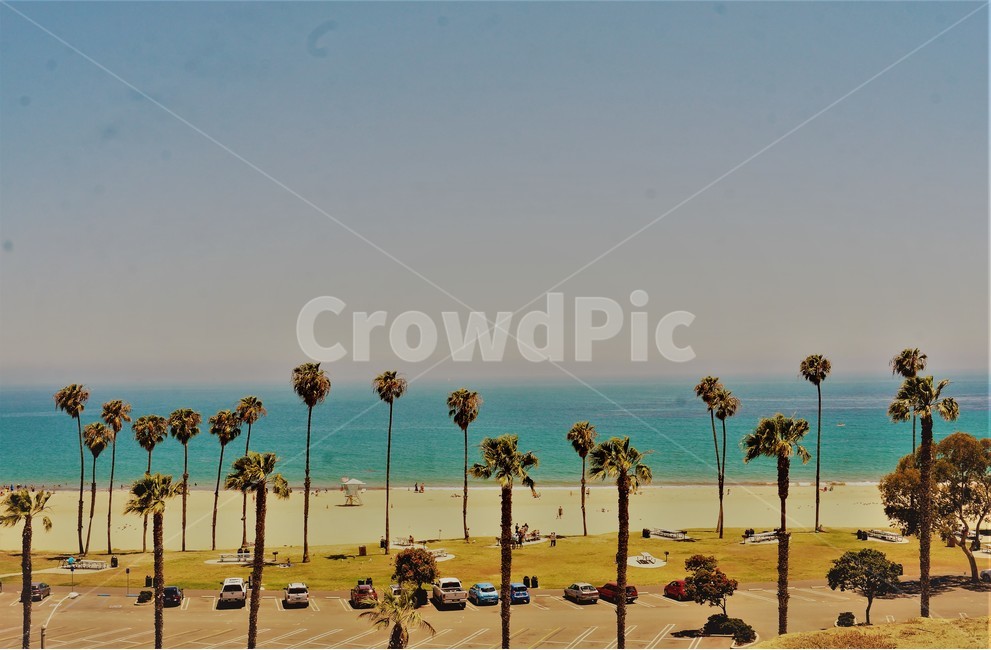해변,야자수,바다,풍경,캘리포니아,외국,미국,산타바바라,santabarbara,california,여행,palmtree,여름,계절,summer,season,자연,풍경,nature,landscape,해변,바다,beach,sea,해외,외국,세계,foreign,oversea,world,세계자연풍경,해외자연풍경,외국자연풍경,world nature landscape,사람들,대중,군중,other people,crowd,여행,휴가,traveling,vacation,trip,색깔,색상,색채,색감,color sense,color sensitivity,feeling of color