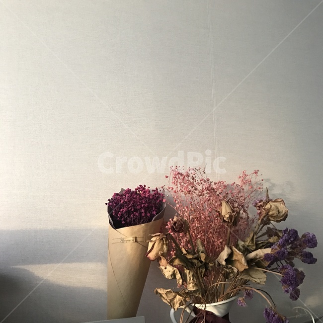 꽃다발,꽃,화분,드라이플라워,안개꽃,장미,프리저브드,감성,배경,그림자