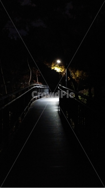 가로등,외딴길,가로등길,밤길,숲속가로등,어두운길,야경,밤,풍경,nightscape,night,landscape,railing,난간,banister,handrail