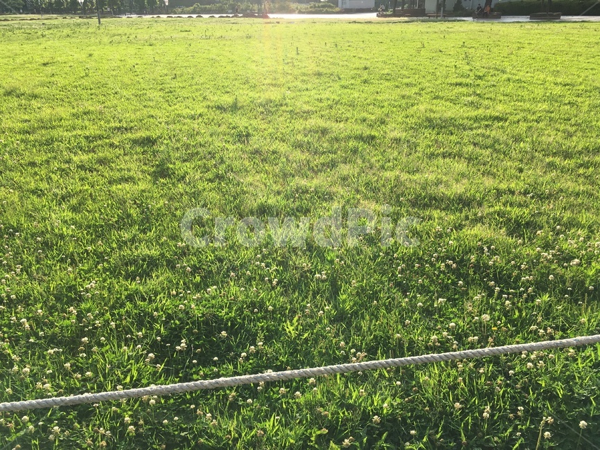 잔디,공원,산책,초록,연두,grass,park,walk,green,넓은,wide